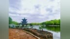 见缝插绿一步一景　金川区绣花功夫打造城市颜值