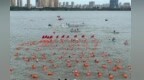 李紅軍調研橫渡贛江活動準備工作：讓體育更好地融入百姓生活