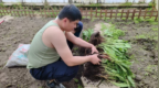 延边边境管理支队双目峰边境检查站开展蔬菜种植工作