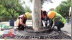 长春市新民大街改造工程火热进行中