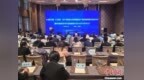 中国北疆“小毛葱”出口 年产值超5亿元人民币