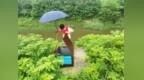 安徽肥西柿树岗乡扎实落实涵闸建后管护