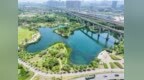 4公里京广高铁线串起11座公园
