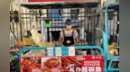 想擺攤當(dāng)“小老板”？新余出招幫扶：買推車教技術(shù)找攤位給補貼