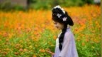 南昌：百畝花海醉游人