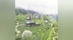 森宿上猶 康養(yǎng)勝地迎客忙