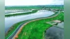 停車賞美景 鄱陽湖堤頂公路通車后吸引眾多游客“探營”