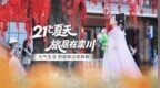 21℃夏天 旅居在欒川 元氣生活 把度假過成爽劇
