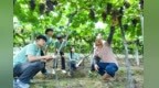 宜春：暑期社會實踐（圖）