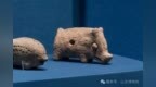 格物致知丨史前济南人怎么“吃”？
