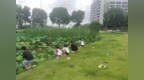 梅堰社区组织开展小候鸟“绿意荷塘”环保实践课堂