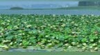 安徽怀远县首张湿地碳票成功发行