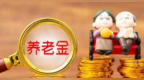河南居民养老保险一次性补缴常见十大问题