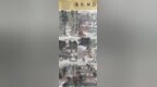 我市青年畫家程鋼作品亮相河南省?慶尚北道書畫藝術交流展
