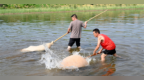 河南沁陽：探秘古法造紙技藝