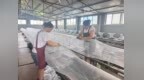 農(nóng)行河南省分行“小漁網(wǎng)”織出致富路