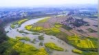 成都蒲江河出現(xiàn)河魚(yú)浮頭、死亡，官方通報(bào)：初判系高溫導(dǎo)致水中溶解氧下降