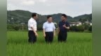 叶建春在萍乡调研：全力巩固平稳向好发展态势