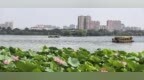 雨后济南大明湖美如画，水天共色游船穿梭