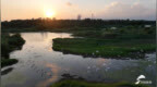 莒县沭河湿地公园千鹭齐舞 生态画卷醉游人
