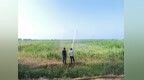 河南多地連續(xù)30多天無有效降雨，如何應對旱情？