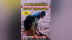 长春肆季南河粉红沙滩，最新消息！