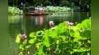 40℃！41℃！今日立秋 浙江气温要起飞