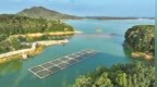 四水映綠·豫見兩山丨南灣出好魚 一水養(yǎng)稻蝦