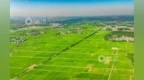 2025年度“江西好糧油”產品名單公布 吉安10個產品入選