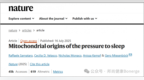 为啥越累越想睡？《Nature》最新发现：线粒体 “喊累” 时，睡眠就来了