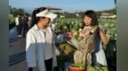 太好逛了！撫州廣昌縣蓮文化市集熱鬧開市