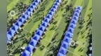 “真金白銀”支持 贛州靶向發力推動高校畢業生高質量充分就業