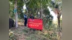 破解发展技术瓶颈，复兴千亿沉香产业——药植所海南分所科研赋能中国沉香大健康产业发展