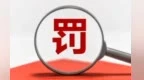 申能財險吉安中支被罰2萬元，責任人遭警告并罰款1.2萬元