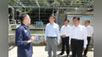 劉寧到三門峽市盧氏縣陜州區(qū)調(diào)研
