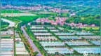 南豐縣：路暢景美產業興（圖）