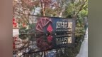 同花順董事長擬減持，稱“讓渡市場參與機會”