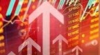A股這一板塊突然集體大漲，發生了什么？