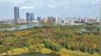 长春北湖湿地公园层林渐染