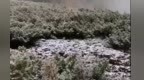 “最冷小镇”呼中区迎金秋首场降雪刷爆朋友圈