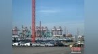 （活力中国调研行）上海码头助力中国汽车“乘船”出海