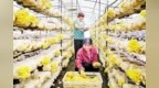 承德实施“六项行动”促进特色产业集群提质增效