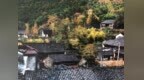 國慶“趣”余姚丨這些“寶藏”鄉(xiāng)村，等你來打卡！