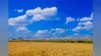 永壽縣推動(dòng)空氣質(zhì)量持續(xù)改善