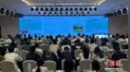 在世界遗产景迈山 中外专家学者聚焦世界茶文明源头