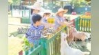 抓住假期的尾巴！寧波這些治愈又好玩的地方，你打卡了嗎