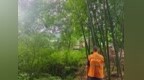 保險護“綠”前行
