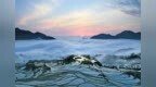 丽水何以“吸影力”十足？