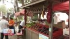 长春市绿园区：从“种葡萄”到“酿风景” 农旅融合催生“甜蜜经济”