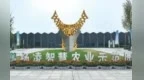 楊凌兩大農業綜合性平臺同步啟用 助力旱區農業新質生產力發展